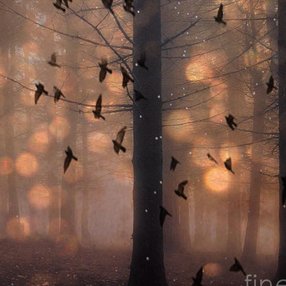 Athleta Fleece Pullover, Medium - image 6